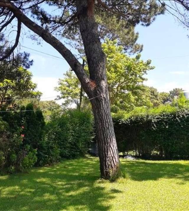 large-1636058408-IMG_20211030_122828942 640x480.jpg